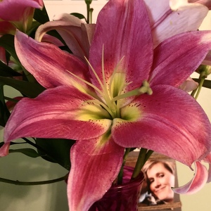 Fundraising Page: Erin Murray